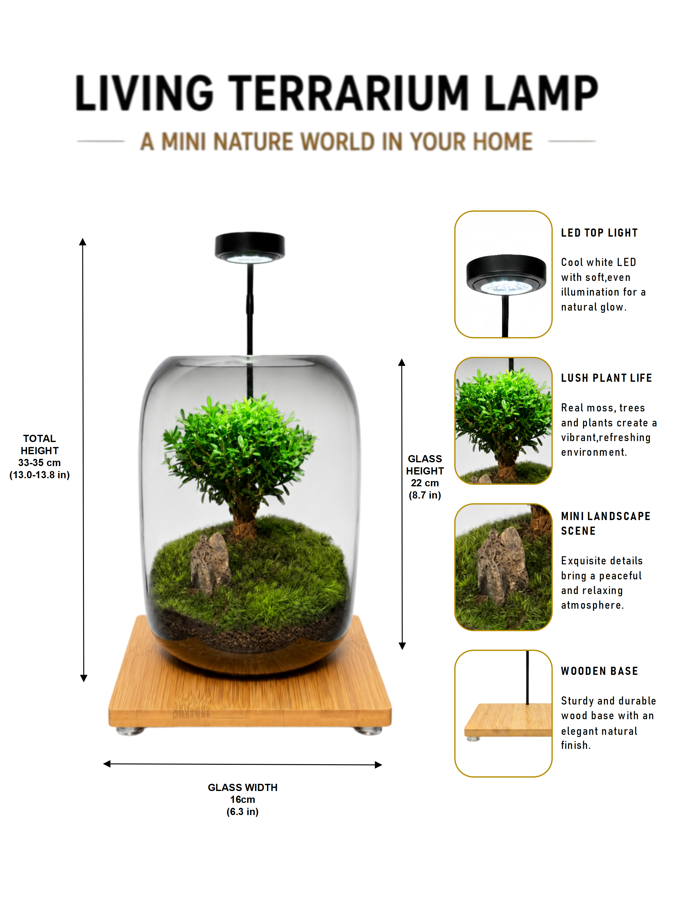 AvaFia Moss Garden Terrarium