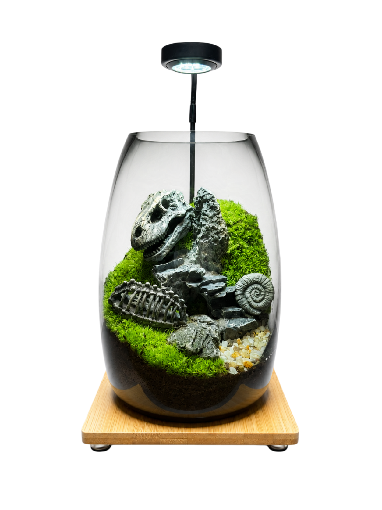 AvaFia The Lost Prehistoric Kingdom