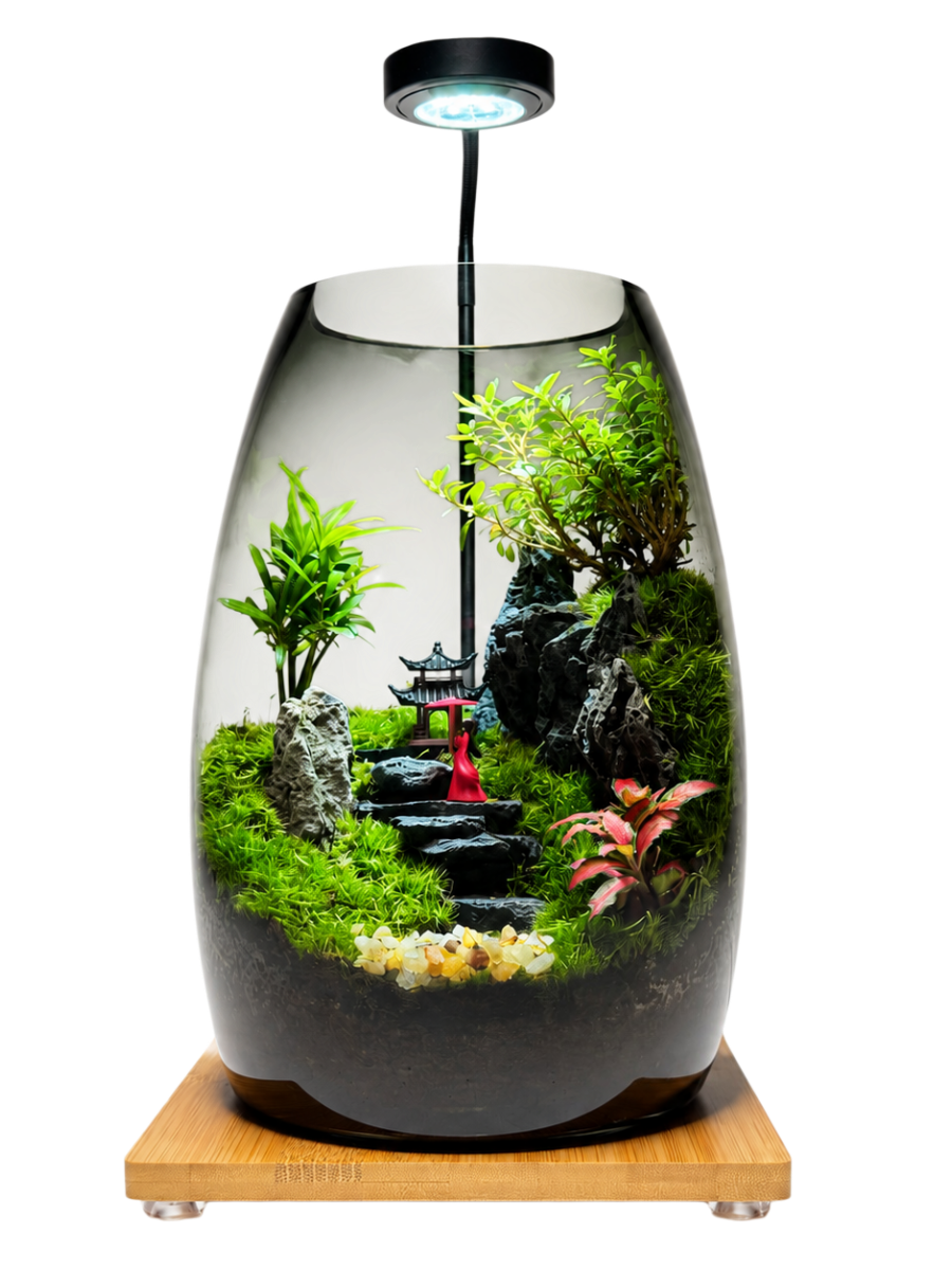 AvaFia Secret Valley